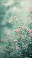 Soft pink flowers on thin branches, petals soft in mist photo
