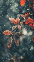 lluvia que cae en rojo hojas en un bosque foto