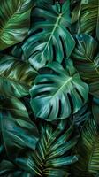 A close-up view of vibrant green leaves with intricate patterns photo