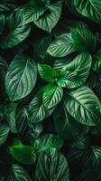A vibrant green leafy background with intricate details photo