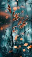 Golden grass stalks reflected in a teal pond photo