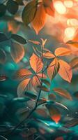 Orange leaves illuminated by the sun in a green forest photo