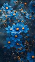 Blue flowers bloom in the field under a summer sky photo