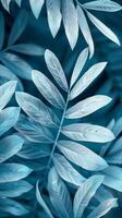 Teal foliage, lush and vibrant, evokes a tranquil atmosphere photo
