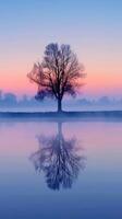 A lone tree stands in a mist-covered lake at sunrise photo