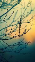 A lone branch silhouette against a colorful sunset sky photo