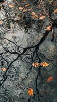 Autumn leaves drift on a still pond photo