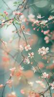 A branch of delicate pink blossoms against a soft green background photo