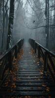 A wooden bridge extends into a misty forest photo