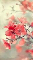 Soft pink flowers bloom on a delicate branch photo