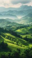 Lush green hills and valleys with misty mountains in the distance photo