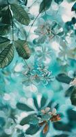 Soft, white flowers bloom against a vibrant teal backdrop photo