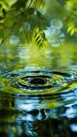 Water droplet falling into a still pond, creating ripples photo