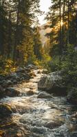 A sunlit stream flows through a forest at sunset photo
