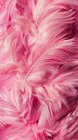Soft pink feathers gently sway in the breeze photo