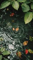 Fallen leaves create ripples in a still pond photo