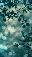 Softly lit leaves create a calming and ethereal scene photo