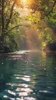 Sunlight shines through trees onto a river in a lush forest photo