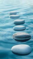 A row of smooth stones float gently on still water photo