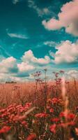 Red flowers bloom in a field under a bright teal sky photo