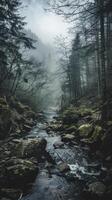 A river flows through a dense forest on a foggy morning photo
