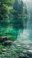 Crystal-clear water and rocks under a canopy of trees photo