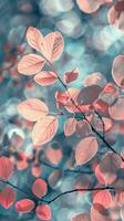 Pink leaves shimmer against a soft blue background photo