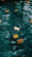 Golden leaves float on a teal pond, creating a beautiful aesthetic photo