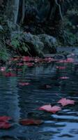 Red leaves float gently on a still pond in a lush forest photo