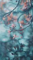 Pink flowers on a branch with water droplets photo