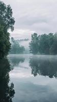 Misty morning with reflection of trees on the water photo