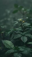 Yellow flower stands out in lush, wet foliage photo