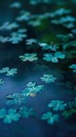 Clover leaves gently bobbing on a calm pond photo