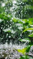 Rain falling on green leaves photo