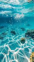 Sunlight filters through shallow turquoise water, illuminating the ocean floor photo