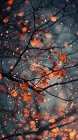 Falling leaves and bokeh lights in the woods photo