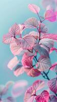Soft pink leaves on a branch against a blue sky photo