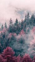 Pink trees emerge from a misty forest photo