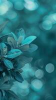 Teal leaves with a blurred background photo
