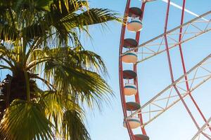 View of the Ferris wheel attraction against a background of blue sky between palm trees. Ferris wheel in the Georgian city of Batumi. photo