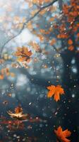 Golden leaves fall gracefully through the air in a dreamy forest scene photo
