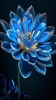 A single blue flower with a yellow center glows against a dark background photo