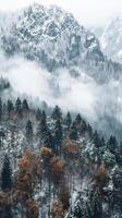 Snow-covered mountain peaks and a misty forest photo