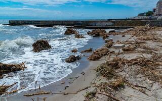 Accident at the Kakhovskaya hydroelectric power station, pollution of beaches with plastic debris and the remains of river plants brought by water photo