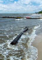 The consequences of a dam break at the Kakhovka power plant, the sea threw garbage and tree trunks onto the beaches of Odessa photo