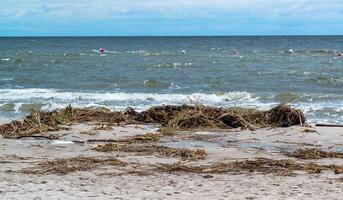 Consequences of the Accident at the Kakhovka power plant, pollution of the beaches of Odessa with garbage and plant remains brought by water photo