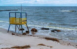 Consequences of the Accident at the Kakhovka power plant, pollution of the beaches of Odessa with garbage and plant remains brought by water photo