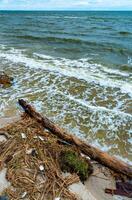 The consequences of a dam break at the Kakhovka power plant, the sea threw garbage and tree trunks onto the beaches of Odessa photo