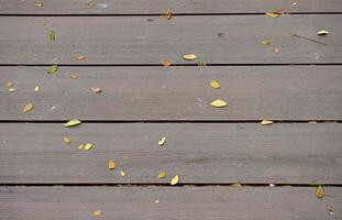 Brown wooden walk way with fallen dry small yellow leaves isolated on horizontal outdoor environment background. photo