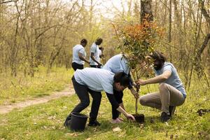 Activists and a kid installing a tree and covering hole in the ground, supporting reforestation and conservation project. Dedicated team working to save the planet, community service. photo